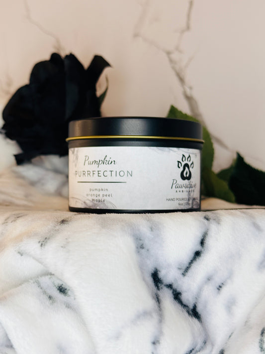 Hand-poured soy candle labeled Pumpkin Purrfection featuring notes of pumpkin, orange peel and maple.  6 oz. Manufactured by Pawsitive Ambiance.